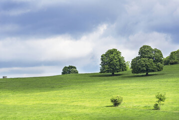 Beautiful view of the landscape of Bohemian Switzerland. The photo shows meadows and forests that have soft green leaves. Clouds in the otherwise blue sky can also be seen.