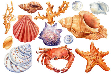 Set of sea shells, crab, starfish on isolated white background, watercolor illustration - obrazy, fototapety, plakaty