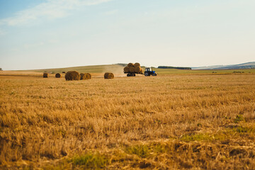 Tractor collects hay in the field. Countryside on a clear sunny day.