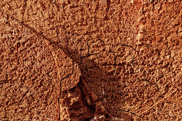 Textural image of a wooden surface