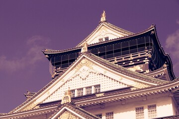 Fototapeta premium Japanese castle