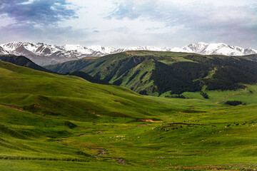 landscape in the mountains