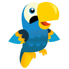 Cartoon animal bird parrot on white background