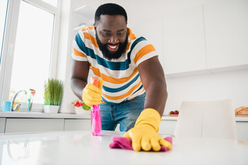 Portrait of positive cheerful person hold spray bottle washing rub furniture kitchen room house...