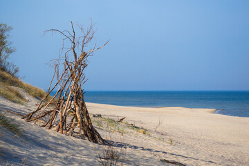 teepee made of the wood thrown on the seashore