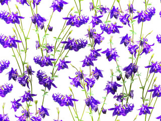 Seamless floral pattern with blue bell flowers isolated on white background.
