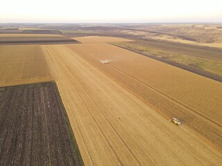 Fototapeta premium default