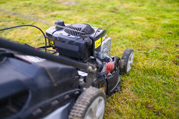 Obraz premium Green grass lawn close, lawn in the morning. Lawn mower cutting green grass in backyard, mowing lawn