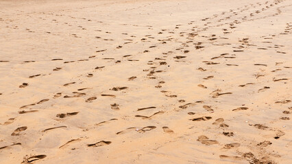Pisadas en orilla de playa de arena