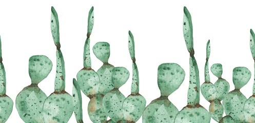 Watercolor hand drawn horizontal banner from succulent isolated on white background. Perfect for cards, banners or invitations, also greeting cards and prints. Rustic style design element.