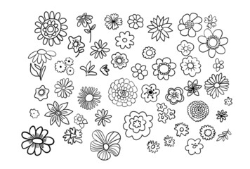 hand drawn outlines flowers vector set