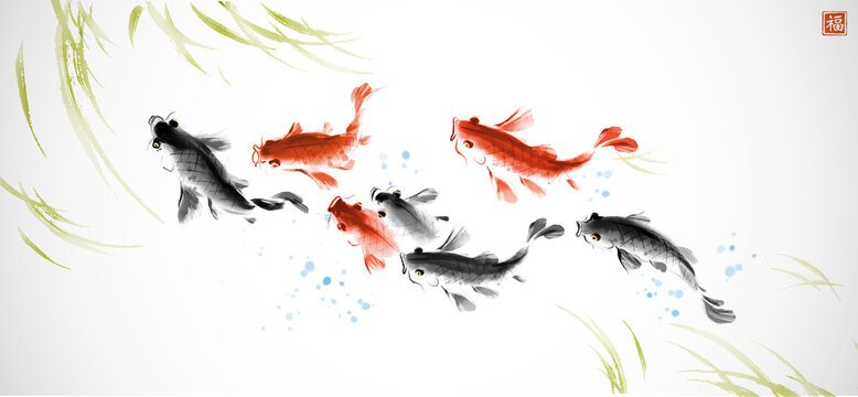 School of koi carps and green seaweed. Traditional oriental ink painting sumi-e, u-sin, go-hua. Symbol of good fortune, success and prosperity. Hieroglyph - well-being.