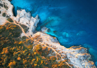 Aerial view of blue sea, rocks in clear water, beach, green trees at sunset in summer. Adriatic...