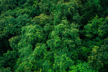 Fototapeta na wymiar Aerial view of beautiful forest mountain landscape
