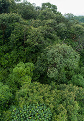 Aerial view of beautiful forest mountain landscape