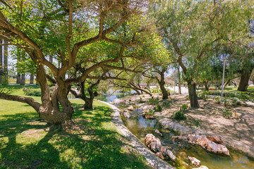 Park landscape with river