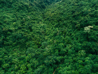 Fototapeta na wymiar Aerial view of beautiful forest mountain landscape