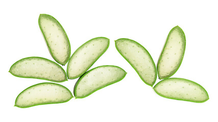 Aloe vera tree isolated on white background with clipping path.