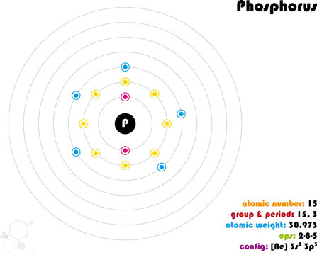 Large and colorful infographic on the element of Phosphorus