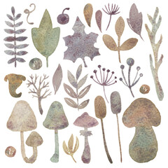Set of forest mushrooms hand drawn in watercolor and isolated on a white background. Amanitas, branches, grebes, chanterelles and other wild mushrooms illustration.