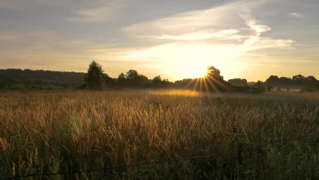Typical rural landscape in Lithuania at sunrise in summer time.