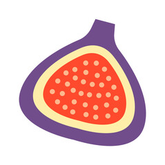 Sliced figs Exotic Fruit. Vector illustration