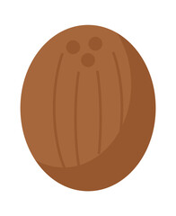 Coconut Exotic Fruit. Vector illustration