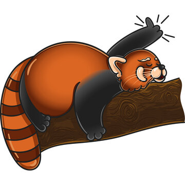 Cute and chubby red panda. Drawn vector graphics for postcards, for printing, for design, for posters, for decoration. Can be used as stickers. As a way to express your emotions.