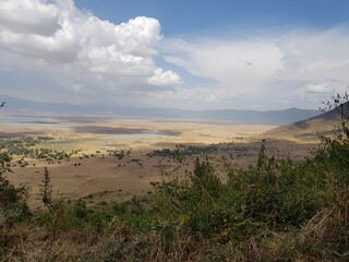 Naklejka premium ngorongoro crater safari