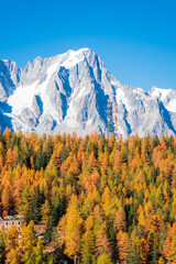 Beautiful autumnal landscape with the wood and the Monte Rosa (Pink Mount) in Aosta Valley Italy
