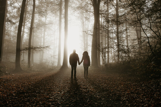 A silhuette of a couple standing in the forest on a foggy morning and holding each others hand. Misty morning in the forest. Long shadows. Alien landing scenery.  Sunrise through the trees. 