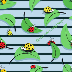 Ladybird. Striped background. Colored Ladybugs on leaves. Vector cartoon character. 