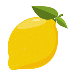 yellow lemon fruit isolated on white background, flat design vector illustration
