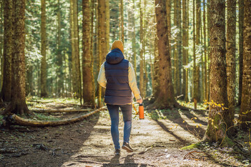 Obraz premium A woman in warm clothes enjoys a walk in a pine forest