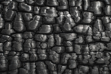 Charcoal texture background, burnt wood surface closeup