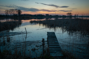 Wooden pier on the lake shore with reeds, Stankow, Poland