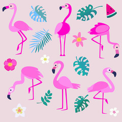 vector illustration of pink flamingo in cute cartoon style