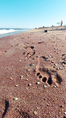 Footprints on the beach sand. Summertime sea. Footprints near the wave water. 