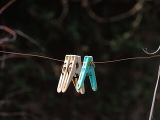 Clothespins hanging on a wire. Isolated colourful clothespins on clothesline.