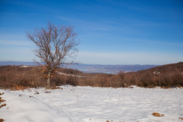 Winter nature landscape. Snow-covered fields and hills. Beautiful winter sunny day. Rural landscape.	
