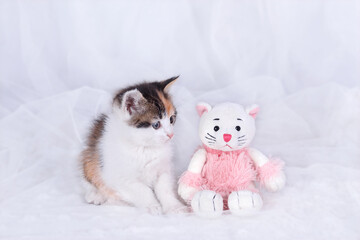 Little Kitten sits next to a toy pink Cat. Little white red-haired Kitten close up. Beautiful Cat on a white background. Cat posing at camera. Tabby. Pets. Pet care