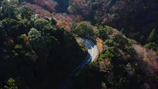 Minoo Bilder Durchsuchen 462 Archivfotos, und Videos