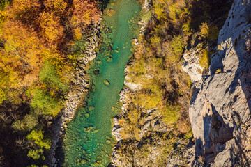 Mountain river Tara and forest in Montenegro. Travel around Montenegro concept