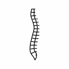 spine bone line icon vector illustration
