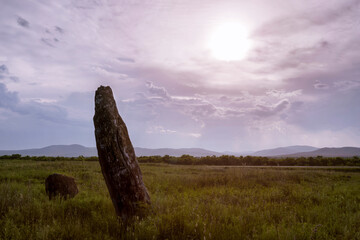 a stone idol is an image of copyspace in the steppe under the sunset sky of Khakassia . a fragment of the Salbyk Mound is a place of power of shamans, an ancient Asian sculpture of ancestors, ancient