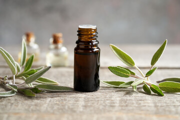A bottle of sage essential oil with fresh sage twigs