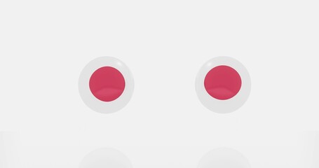 Japan countries flag icon or symbols