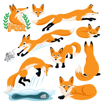 Animal set with cute foxes on white background.