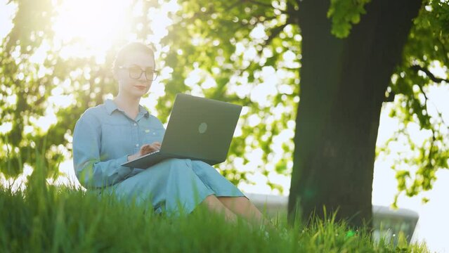 Busy attractive woman working at the laptop as sitting on grass in city park at sunset