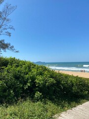 The green in the blue 